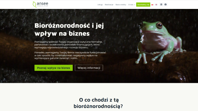 Marketing B2B - Case study Ansee - zdjęcie 1